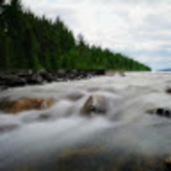 Meet your Posher, Ed - Picture 1 of 1